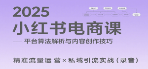2025小红书电商课：解析算法，创作高转化内容，助力卖家获取流量实现变现(录音)-黑斯坦丁项目网