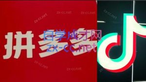 老陶电商·拼多多+抖音小店无货源开店-黑斯坦丁项目网