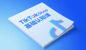 梨子姐姐·TikTok小店基础认知课-黑斯坦丁项目网