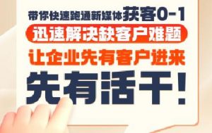 郑老师·抖音短视频广告投放获客实操营-黑斯坦丁项目网
