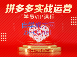 推易电商·拼多多实战运营课(更新2025月)-黑斯坦丁项目网