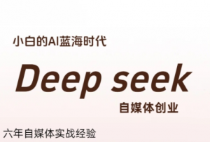 冰冰老师·普通人如何利用Deepseek创业-黑斯坦丁项目网