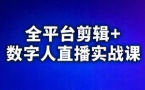 视频号、快手、抖音全平台剪辑+数字人直播实战课(更新7月)​-黑斯坦丁项目网