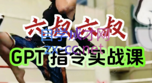 六叔的AI指令实战课(更新7月)-黑斯坦丁项目网