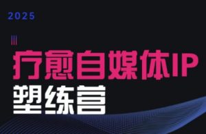 欣然老师·2025治愈自媒体IP训练营-黑斯坦丁项目网