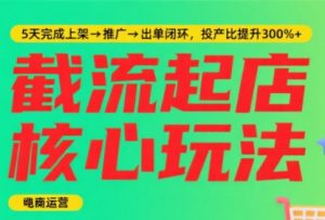 淘宝截流快速起店玩法，掌握暴力快速起店的流程-黑斯坦丁项目网