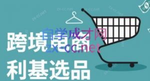 阿甘·2025年跨境电商选品案例(更新7月)-黑斯坦丁项目网