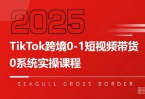 大亿老师·TikTok跨境0-1短视频带货-黑斯坦丁项目网