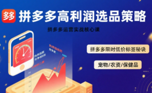 久号老师·拼多多选品暴利技术实战课-黑斯坦丁项目网