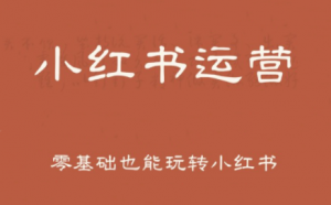 一北老师·小红书运营设计博主独立变现-黑斯坦丁项目网