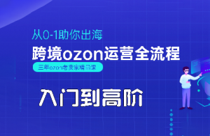 悟空跨境·OZON入门到高阶全流程-黑斯坦丁项目网