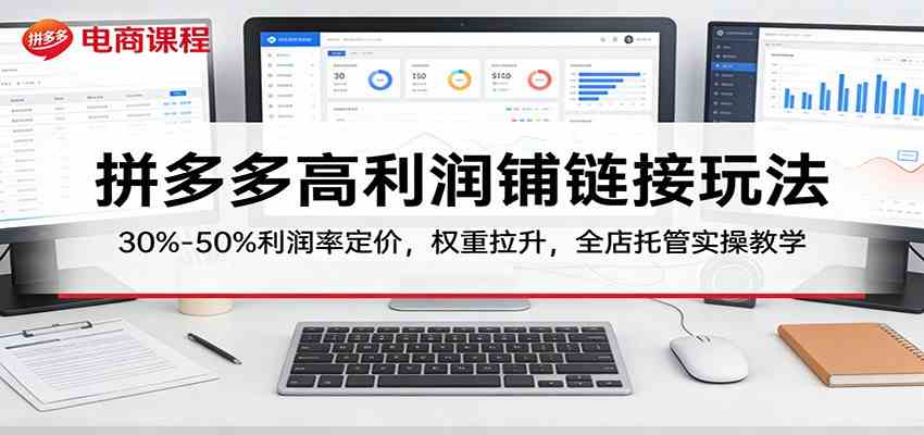 拼多多高利润铺链接玩法：30%–50%利润率定价，权重拉升，全店托管实操教学-黑斯坦丁项目网