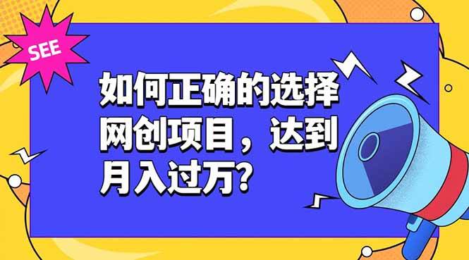 （19176期）如何正确的选择网创项目，达到月入过万？，本课程教你正确选择项目。-黑斯坦丁项目网