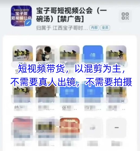 宝子哥头部团队短视频带货，以混剪为主，不需要真人出镜，不需要拍摄【更新26年3月】-黑斯坦丁项目网