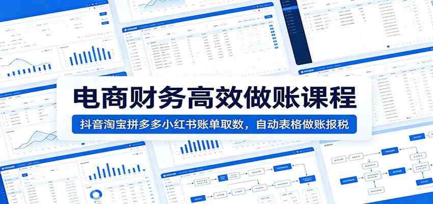 电商财务高效做账课程：抖音淘宝拼多多小红书账单取数，自动表格做账报税-黑斯坦丁项目网