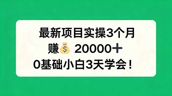 （17856期）最新项目实操3个月，赚钱20000+，0基础小白3天学会！-黑斯坦丁项目网