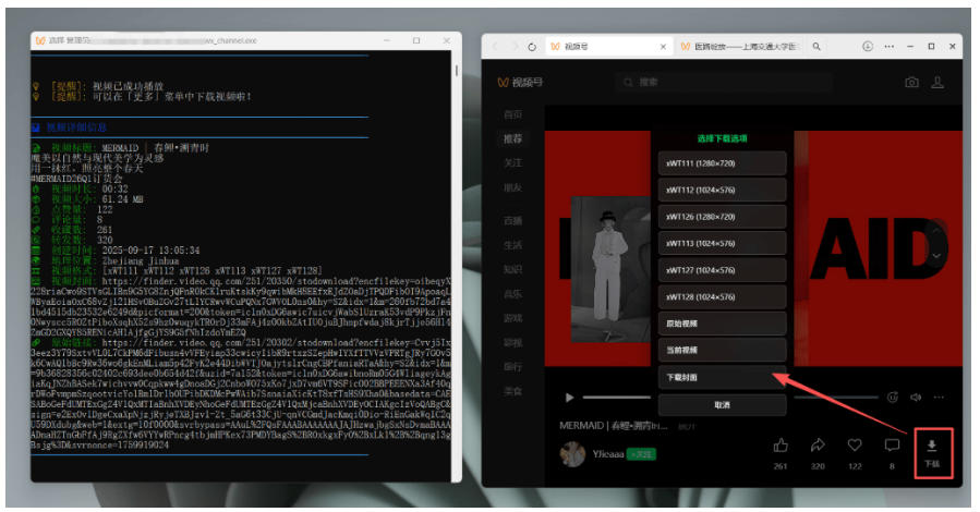 Github热门工具，视频号下载神器又来了！一键注入下载按钮，轻松下载，使用便捷wx_channel-黑斯坦丁项目网