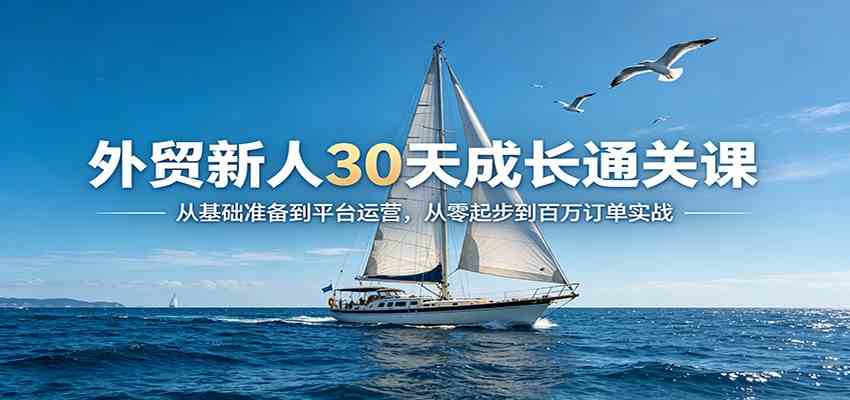 外贸新人30天成长通关课:从基础准备到平台运营,从零起步到百万订单实战-黑斯坦丁项目网