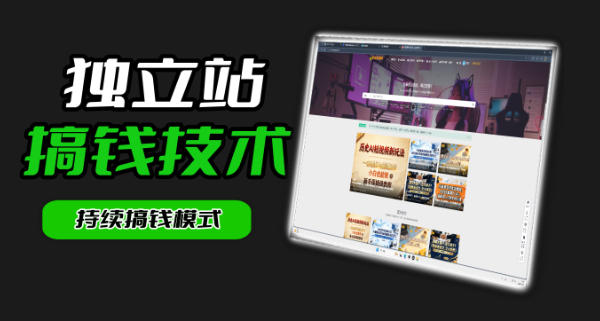 干货来袭！麦子甜带你吃透独立站｜从搭建到引流一站式教学《独立站》第一期-黑斯坦丁项目网
