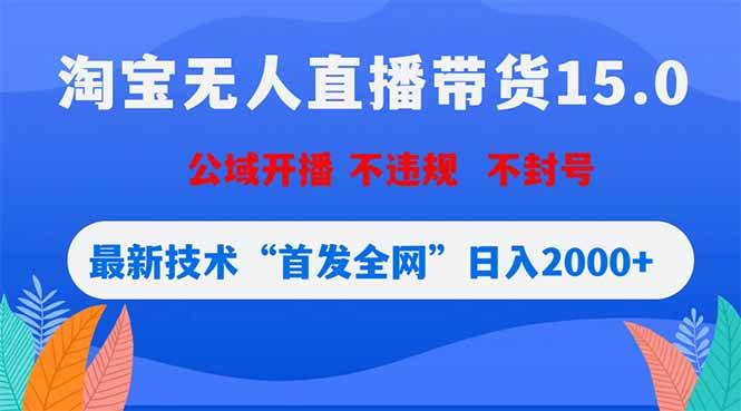 （18562期）淘宝无人直播带货15.0，不封号，不违规，公域玩法，首发全网日入2000+-黑斯坦丁项目网